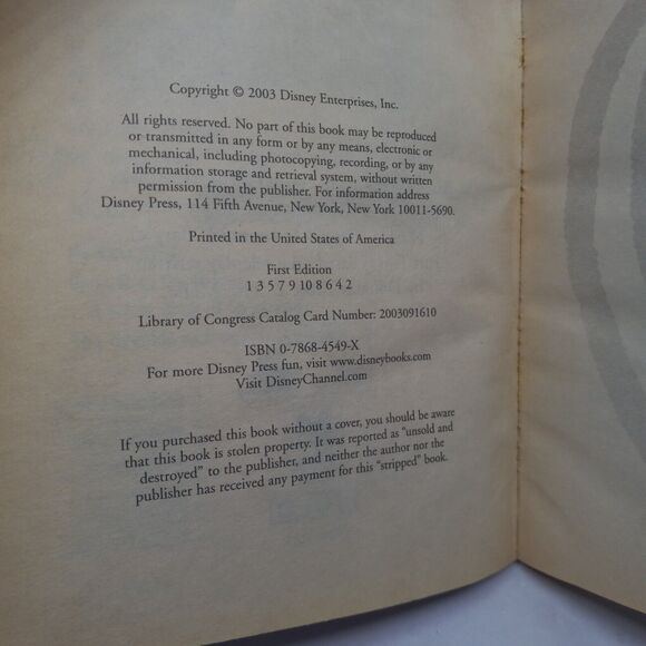 Disney Lizzie Mcguire #10: Lizzie Loves Ethan Paperback-2003-1st/2nd-Vtg-Good - Picture 9 of 9